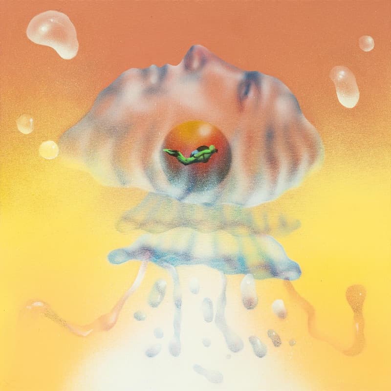 Jellyfish cover